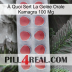 À Quoi Sert La Gelée Orale Kamagra 100 Mg 18